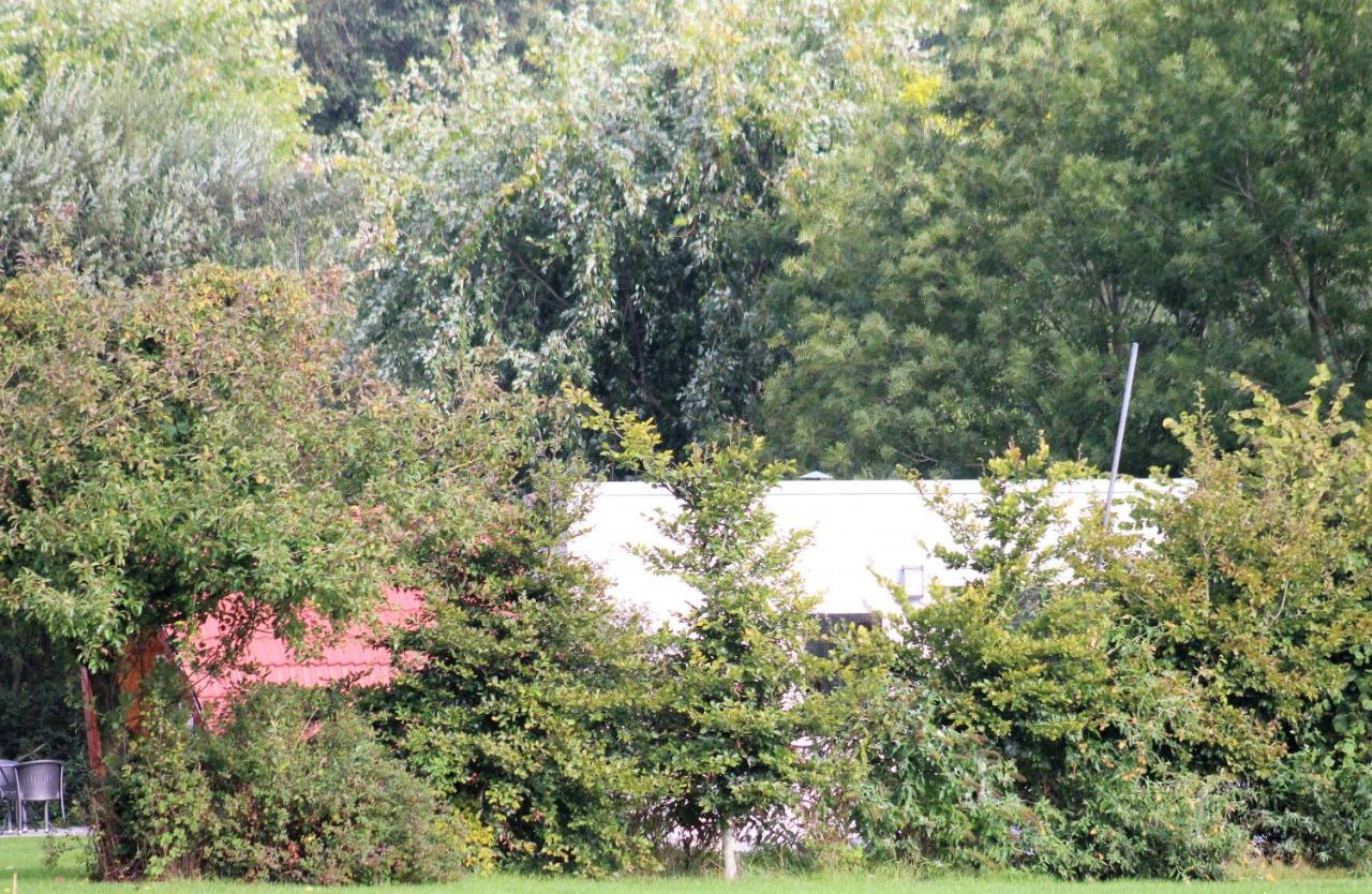 Campsite Panorama Box Op De Stal Drijber